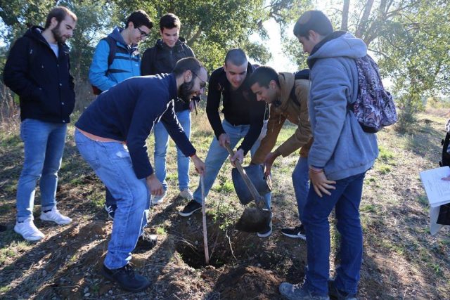 150 alunos plantam 40 árvores em Torres Novas